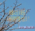 ���ֹ�,��ɽ�󷨵��ӹ���ʦ�𻪵��ߴ󷨺鴫��ʮ������(27��)
