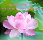 ���ֹ�,���󷨵��ӹ��ش󷨺鴫��ʮ��������ʦ�𻪵�(27��)
