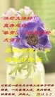 ���ֹ�,ʯ��ׯ�󷨵��ӹ��ش󷨺鴫��ʮ��������ʦ�𻪵�(25��)
