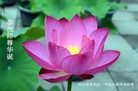 ���ֹ�,�������󷨵��ӹ��ش󷨺鴫��ʮ��������ʦ�𻪵�(28��)
