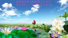 ���ֹ�,�������󷨵��ӹ��ش󷨺鴫��ʮ��������ʦ�𻪵�(28��)
