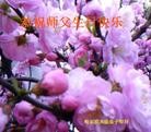 ���ֹ�,�������󷨵��ӹ��ش󷨺鴫��ʮ��������ʦ�𻪵�(28��)
