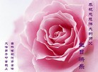 ���ֹ�,����ʡ�󷨵��ӹ��ش󷨺鴫��ʮ��������ʦ�𻪵�(20��)
