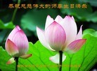 ���ֹ�,����ʡ�󷨵��ӹ��ش󷨺鴫��ʮ��������ʦ�𻪵�(20��)
