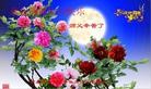 ���ֹ�,�����󷨵��ӹ���ʦ�𻪵��ߴ󷨺鴫��ʮ������(29��)
