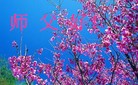 ���ֹ�,����󷨵��ӹ���ʦ�𻪵��ߴ󷨺鴫��ʮ������(20��)
