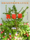 ���ֹ�,�żҿڴ󷨵��ӹ���ʦ�𻪵��ߴ󷨺鴫��ʮ������(27��)
