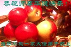 ���ֹ�,�����󷨵��ӹ������編�ִ�����ʦ�𻪵�(25��)
