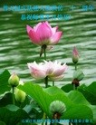 ���ֹ�,ʯ��ׯ�󷨵��ӹ������編�ִ�����ʦ�𻪵�(29��)

