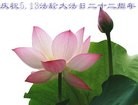 ���ֹ�,�������󷨵��ӹ������編�ִ�����ʦ�𻪵�(25��)

