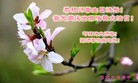 ���ֹ�,�ӱ��󷨵��ӹ��ش󷨺鴫��ʮ��������ʦ�𻪵�(27��)
