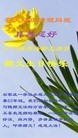 ���ֹ�,ʯ��ׯ�󷨵��ӹ������編�ִ�����ʦ�𻪵�(29��)
