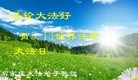 ���ֹ�,ʯ��ׯ�󷨵��ӹ������編�ִ�����ʦ�𻪵�(29��)
