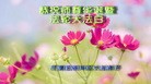 ���ֹ�,ʯ��ׯ�󷨵��ӹ������編�ִ�����ʦ�𻪵�(27��)
