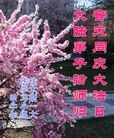 ���ֹ�,��ľ˹�󷨵��ӹ������編�ִ�����ʦ�𻪵�(23��)
