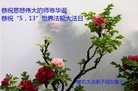 ���ֹ�,�ȷ��󷨵��ӹ��ش󷨺鴫��ʮ��������ʦ�𻪵�(31��)
