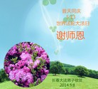 ���ֹ�,�����󷨵��ӹ������編�ִ�����ʦ�𻪵�(25��)
