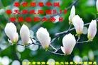 ���ֹ�,��ɽ�󷨵��ӹ���ʦ�𻪵��ߴ󷨺鴫��ʮ������(27��)

