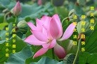 ���ֹ�,����󷨵��ӹ��ش󷨺鴫��ʮ��������ʦ�𻪵�(22��)

