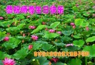 ���ֹ�,����ʡ�󷨵��ӹ��ش󷨺鴫��ʮ��������ʦ�𻪵�(28��)
