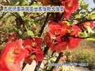 ���ֹ�,�ӱ��󷨵��ӹ������編�ִ�����ʦ�𻪵�(26��)
