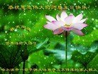 ���ֹ�,�������󷨵��ӹ������編�ִ�����ʦ�𻪵�(26��)
