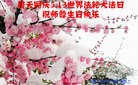 ���ֹ�,�������󷨵��ӹ������編�ִ�����ʦ�𻪵�(25��)
