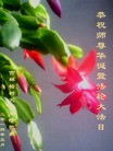 ���ֹ�,�����󷨵��ӹ������編�ִ�����ʦ�𻪵�(25��)
