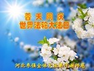 ���ֹ�,�ӱ��󷨵��ӹ������編�ִ�����ʦ�𻪵�(29��)
