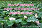 ���ֹ�,�ӱ��󷨵��ӹ������編�ִ�����ʦ�𻪵�(26��)

