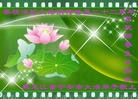 ���ֹ�,�������󷨵��ӹ������編�ִ�����ʦ�𻪵�(21��)
