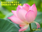 ���ֹ�,�����󷨵��ӹ������編�ִ�����ʦ�𻪵�(23��)
