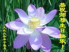 ���ֹ�,����󷨵��ӹ������編�ִ�����ʦ�𻪵�(23��)
