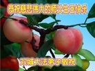 ���ֹ�,�������󷨵��ӹ������編�ִ�����ʦ�𻪵�(19��)
