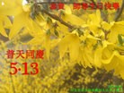 ���ֹ�,�ػʵ��󷨵��ӹ������編�ִ�����ʦ�𻪵�(20��)
