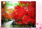 ���ֹ�,��ľ˹�󷨵��ӹ������編�ִ�����ʦ�𻪵�(22��)
