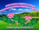 ���ֹ�,�������󷨵��ӹ������編�ִ�����ʦ�𻪵�(19��)
