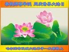 ���ֹ�,�������󷨵��ӹ������編�ִ�����ʦ�𻪵�(19��)
