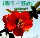 ���ֹ�,���ϴ󷨵��ӹ������編�ִ�����ʦ�𻪵�(27��)
