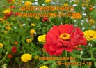 ���ֹ�,�����󷨵��ӹ������編�ִ�����ʦ�𻪵�(21��)
