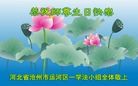 ���ֹ�,�ӱ��󷨵��ӹ������編�ִ�����ʦ�𻪵�(25��)
