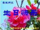 ���ֹ�,�����д󷨵��ӹ������編�ִ�����ʦ�𻪵�(22��)
