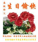 ���ֹ�,�����д󷨵��ӹ������編�ִ�����ʦ�𻪵�(22��)
