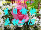 ���ֹ�,���󷨵��ӹ������編�ִ�����ʦ�𻪵�(24��)
