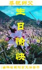 ���ֹ�,�����д󷨵��ӹ������編�ִ�����ʦ�𻪵�(22��)
