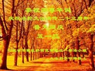 ���ֹ�,ʯ��ׯ�󷨵��ӹ������編�ִ�����ʦ�𻪵�(23��)
