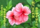 ���ֹ�,�����󷨵��ӹ������編�ִ�����ʦ�𻪵�(21��)
