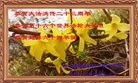 ���ֹ�,�������󷨵��ӹ������編�ִ�����ʦ�𻪵�(26��)
