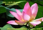 ���ֹ�,��������󷨵��ӹ������編�ִ�����ʦ�𻪵�(22��)
