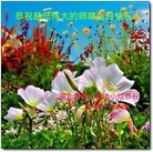 ���ֹ�,�����󷨵��ӹ������編�ִ�����ʦ�𻪵�(28��)
